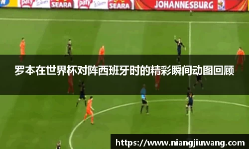 罗本在世界杯对阵西班牙时的精彩瞬间动图回顾